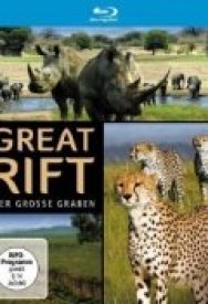 Большой африканский разлом