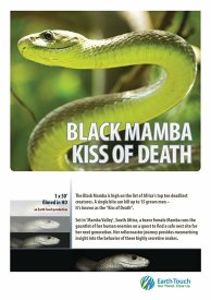 Черная мамба: поцелуй смерти