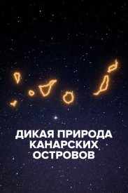 Дикая природа Канарских островов