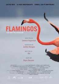 Фламинго: Жизнь после метеорита