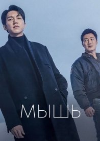 Мышь