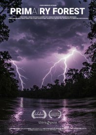Primairy Forest