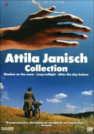 Тень на снегу