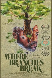 Where Branches Break