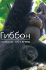 Гиббон — поющая обезьяна