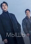 Мышь