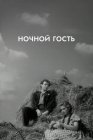 Ночной гость